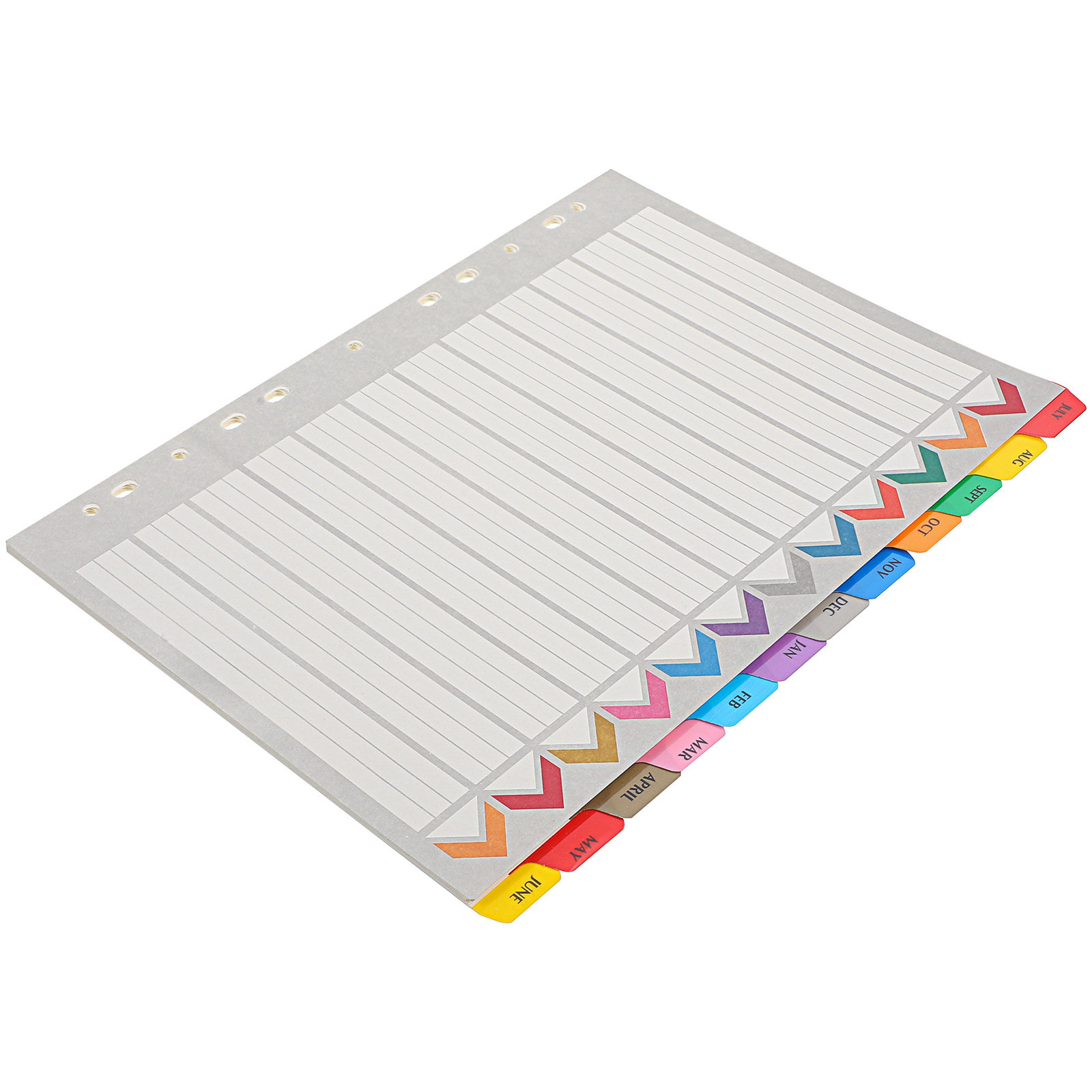 12 Blatt Trennblätter mit Regi – Tab Divider A4 Bewertung und Preis