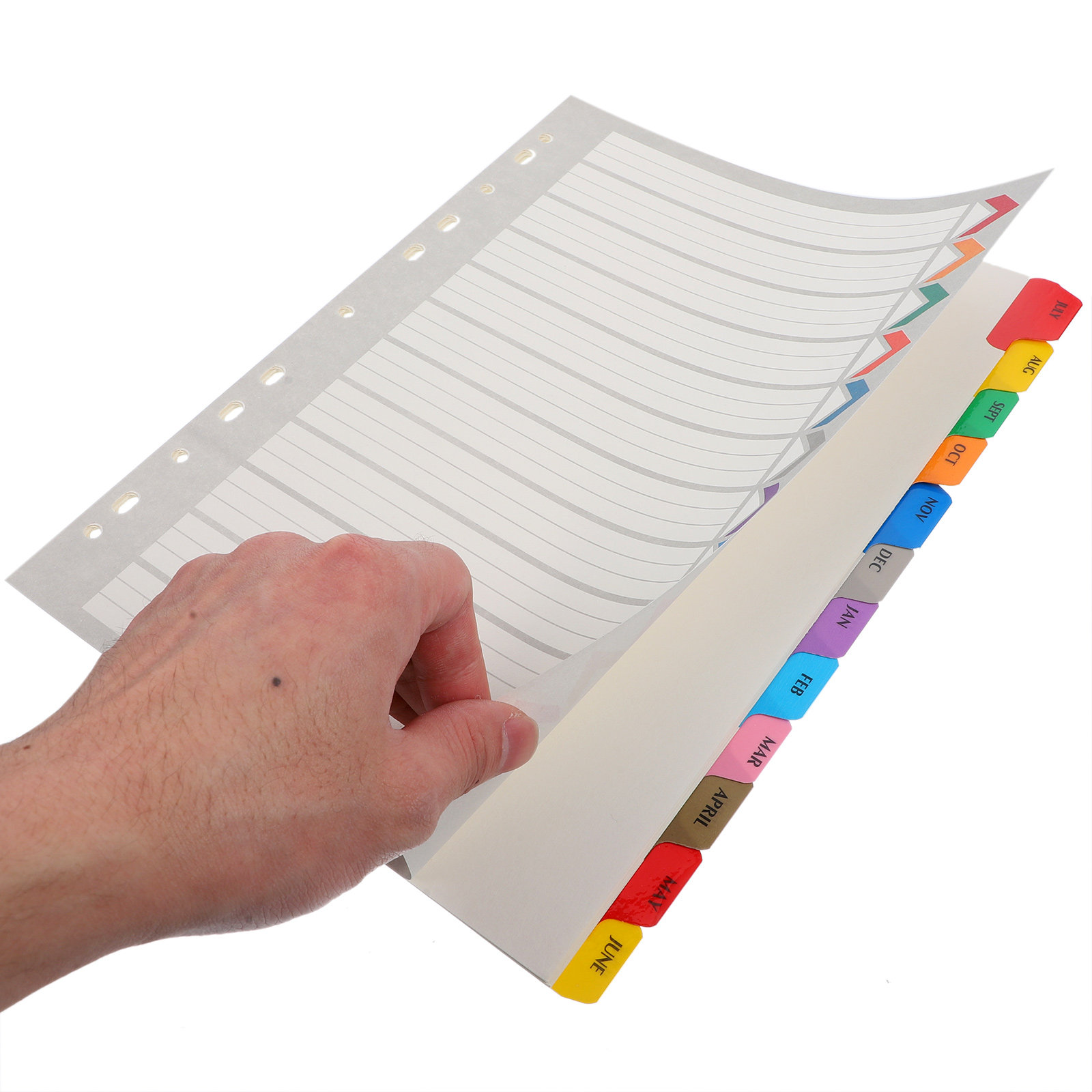 12 Blatt Trennblätter mit Regi – Tab Divider A4 Bewertung und Preis