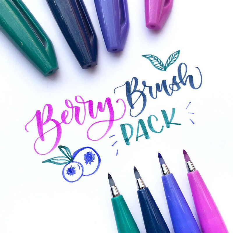 1 STÜCK Pentel Fude Brush Touc – Pentel Pen Sign Pen Bewertung und Preis