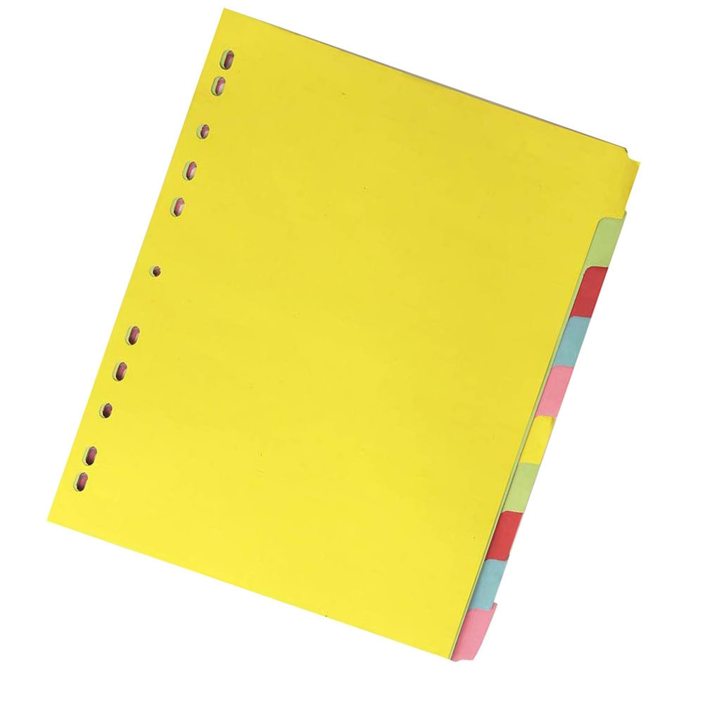 12 Stück A4-Indextrennblätter  – Tab Divider A4 Bewertung und Preis